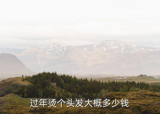 洛陽燙頭多少錢,過年燙個頭發大概多少錢
