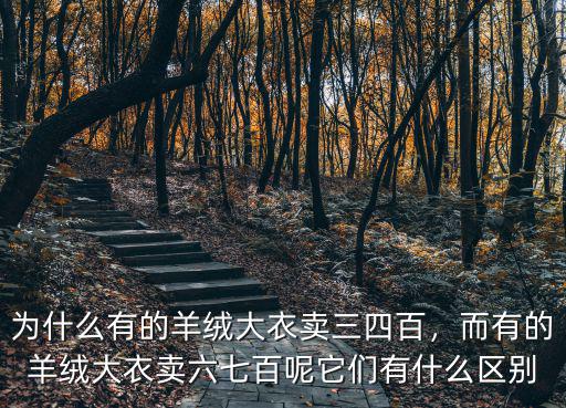 鄭州哪里有賣羊絨大衣的,為什么有的羊絨大衣賣三四百