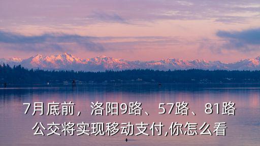 洛陽怎么手機支付坐公交,坐公交車怎么用手機支付