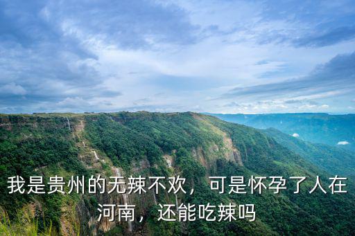 我是貴州的無辣不歡，可是懷孕了人在河南，還能吃辣嗎