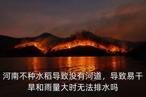 河南哪里產水稻,河南不種水稻導致沒有河道
