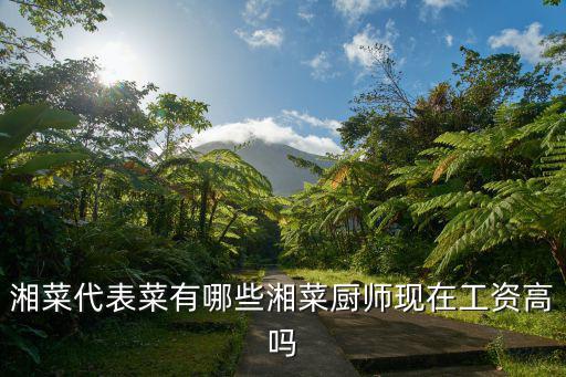 鄭州哪里能找到湘菜廚師,湘菜廚師現(xiàn)在工資高嗎
