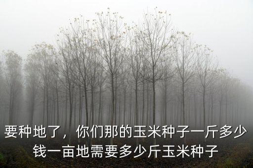 要種地了，你們那的玉米種子一斤多少錢一畝地需要多少斤玉米種子