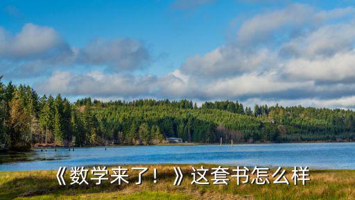 《數學來了！》這套書怎么樣