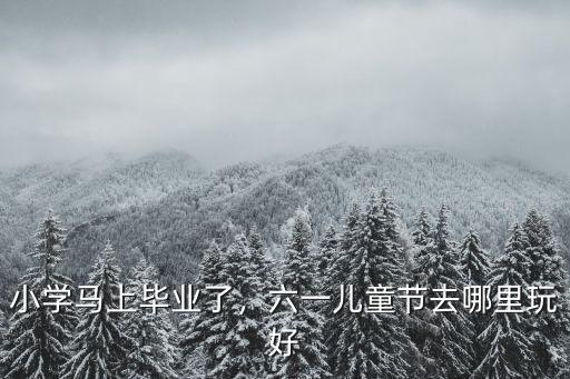 六一兒童節(jié)南陽去哪里玩,六一兒童節(jié)去哪里玩好