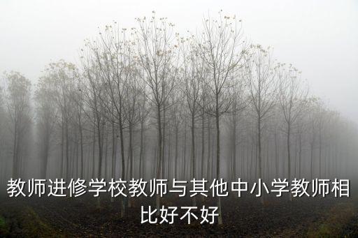 駐馬店市教師進修學校怎么樣,縣級教師進修學校怎么樣