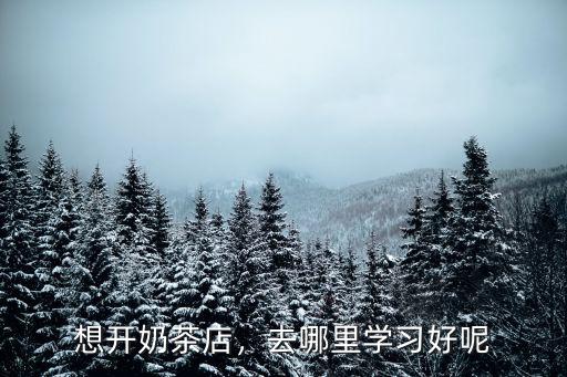 想開(kāi)奶茶店，去哪里學(xué)習(xí)好呢