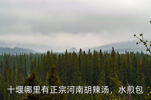 十堰哪里有正宗河南胡辣湯，水煎包