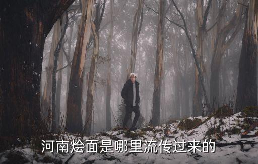 河南燴撈面哪里好吃,河南飯店手工撈面怎么做