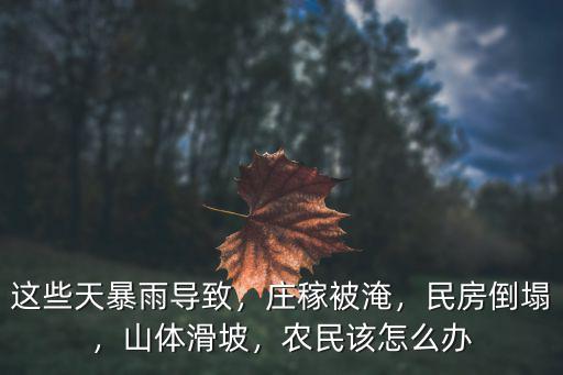 這些天暴雨導(dǎo)致，莊稼被淹，民房倒塌，山體滑坡，農(nóng)民該怎么辦