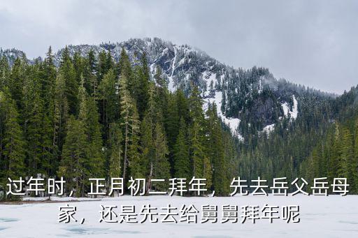 河南人人正月初二去哪里拜年,正月初二拜年