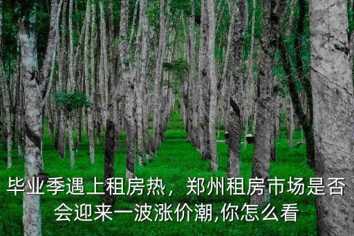 鄭州紫金山租房怎么樣,鄭州的租房市場怎么樣