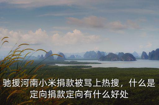 馳援河南小米捐款被罵上熱搜，什么是定向捐款定向有什么好處