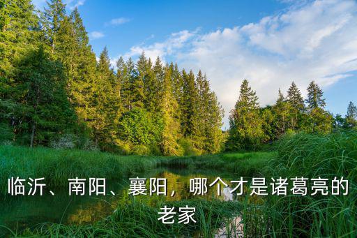 臨沂、南陽、襄陽，哪個才是諸葛亮的老家
