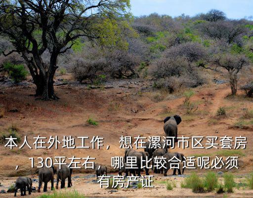 本人在外地工作，想在漯河市區買套房，130平左右，哪里比較合適呢必須有房產證
