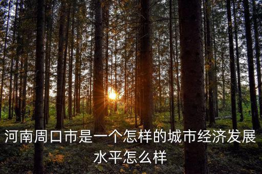 河南周口市是一個怎樣的城市經濟發展水平怎么樣