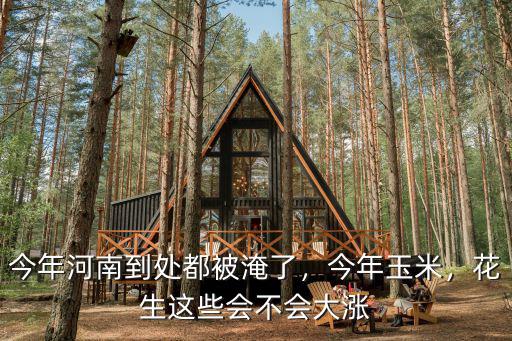 今年河南到處都被淹了，今年玉米，花生這些會不會大漲
