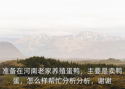 準備在河南老家養殖蛋鴨，主要是賣鴨蛋，怎么樣幫忙分析分析，謝謝