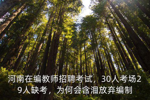河南在編教師招聘考試，30人考場29人缺考，為何會含淚放棄編制