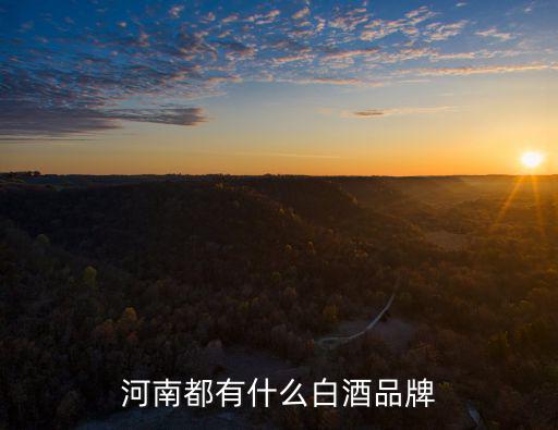河南濮陽現在有多少家酒廠,濮陽有多少名人