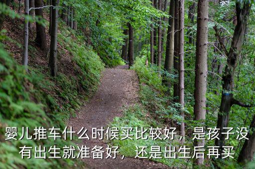 鄭州嬰兒推車在哪里買,嬰兒推車什么時(shí)候買比較好