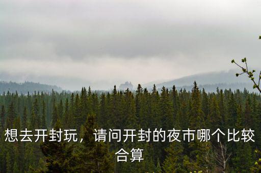 想去開封玩，請問開封的夜市哪個比較合算