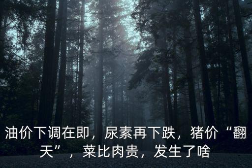 油價下調在即，尿素再下跌，豬價“翻天”，菜比肉貴，發生了啥