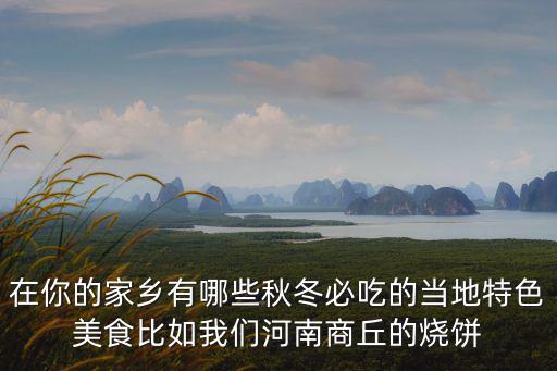 在你的家鄉有哪些秋冬必吃的當地特色美食比如我們河南商丘的燒餅