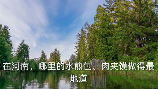 在河南，哪里的水煎包、肉夾饃做得最地道