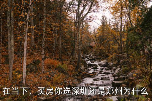 在當下，買房你選深圳還是鄭州為什么