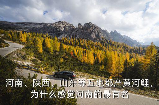 河南、陜西、山東等五地都產黃河鯉，為什么感覺河南的最有名