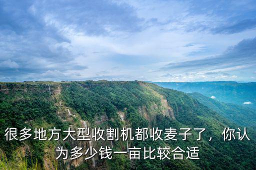 很多地方大型收割機都收麥子了，你認為多少錢一畝比較合適
