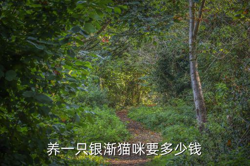 鄭州金漸層貓一般多少錢,金漸層貓多少錢一只
