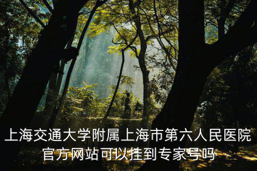上海市第六人民醫院，上海交通大學附屬上海市第六人民醫院官方網站可以掛到專家號嗎