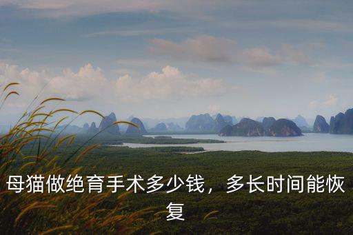 周口母貓絕育手術多少錢,母貓做絕育手術多少錢