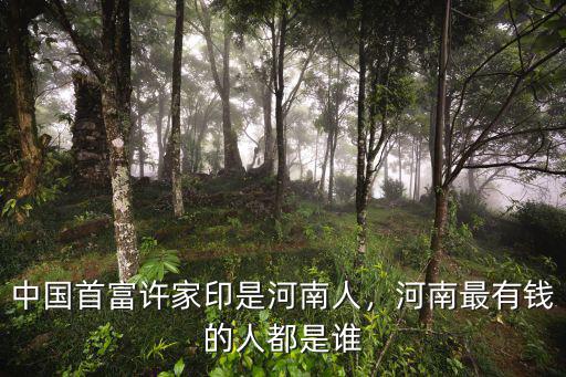 河南哪里人有錢,河南最有錢的人都是誰