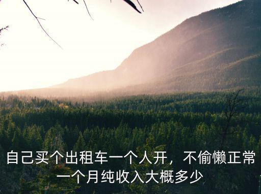 自己買個出租車一個人開，不偷懶正常一個月純收入大概多少