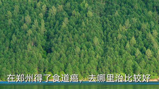 河南哪里得食道癌的較多,在鄭州得了食道癌