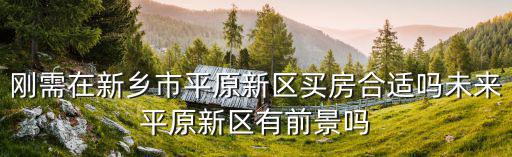 剛需在新鄉(xiāng)市平原新區(qū)買房合適嗎未來平原新區(qū)有前景嗎