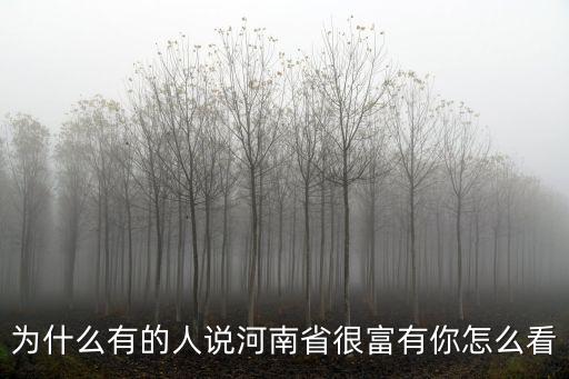 為什么有的人說河南省很富有你怎么看