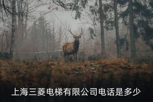 上海三菱電梯有限公司電話是多少