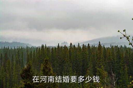 在河南結婚要多少錢