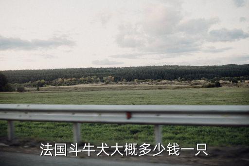 在開(kāi)封狗市買法斗多少錢(qián)一只,法國(guó)斗牛犬大概多少錢(qián)一只