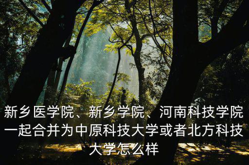 新鄉醫學院、新鄉學院、河南科技學院一起合并為中原科技大學或者北方科技大學怎么樣