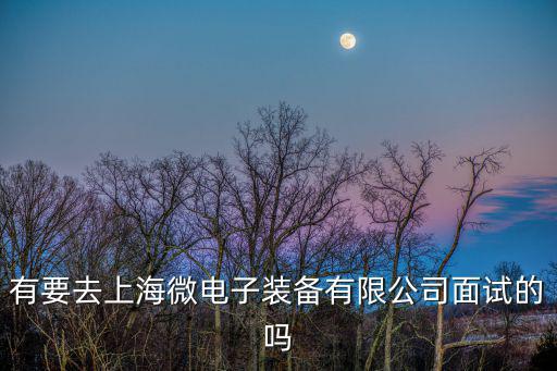 上海微電子，有要去上海微電子裝備有限公司面試的嗎