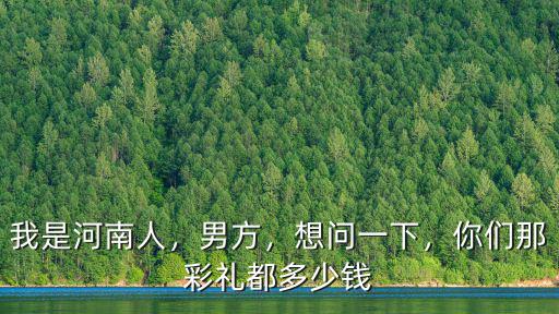 我是河南人，男方，想問一下，你們那彩禮都多少錢