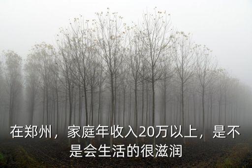 在鄭州，家庭年收入20萬(wàn)以上，是不是會(huì)生活的很滋潤(rùn)