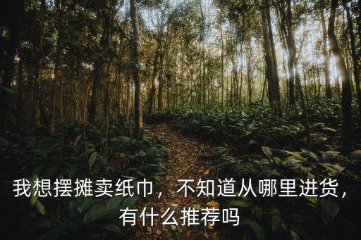 我想擺攤賣紙巾，不知道從哪里進貨，有什么推薦嗎