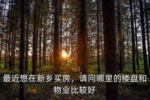 最近想在新鄉(xiāng)買房，請問哪里的樓盤和物業(yè)比較好