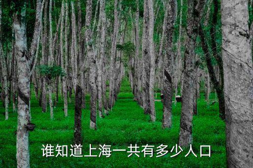 誰知道上海一共有多少人口